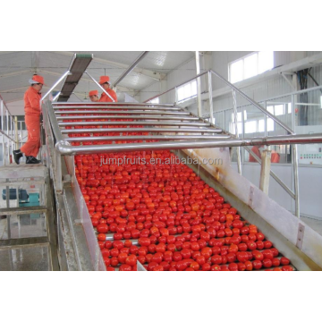 Máquina de llenado de frutas enlatadas y sellado